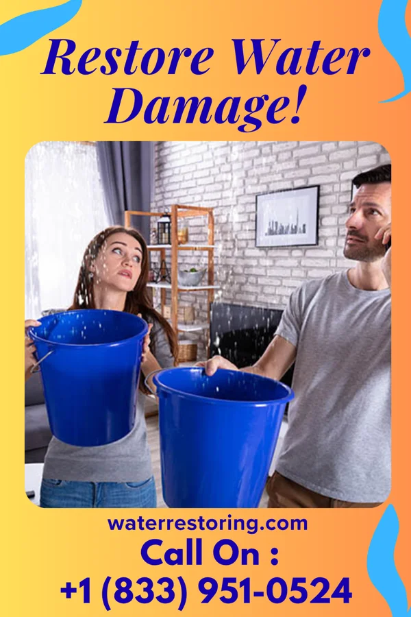water restoration Total Water Repair Experts Elkton