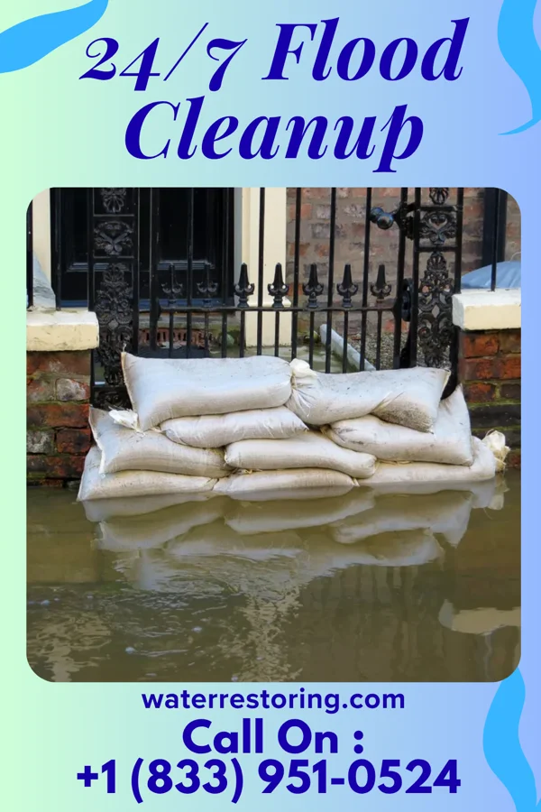 24/7 Flood Cleanup in Elkton, VA