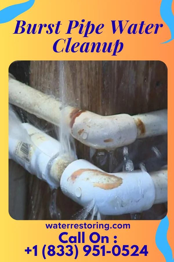 Burst Pipe Water Cleanup in Elkton, VA