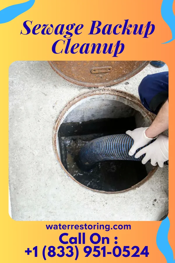 Sewage Backup Cleanup in Elkton, VA